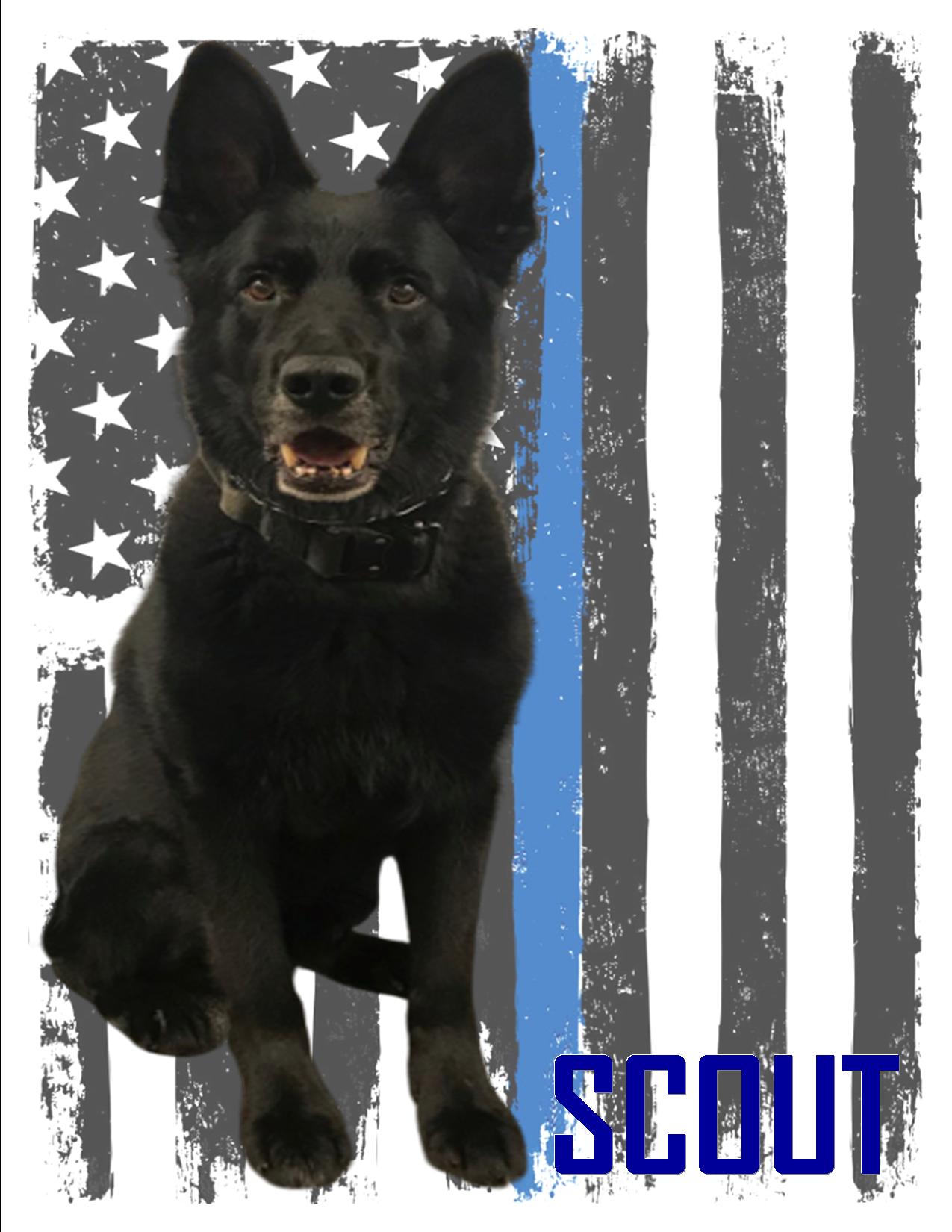 K9 SCOUT