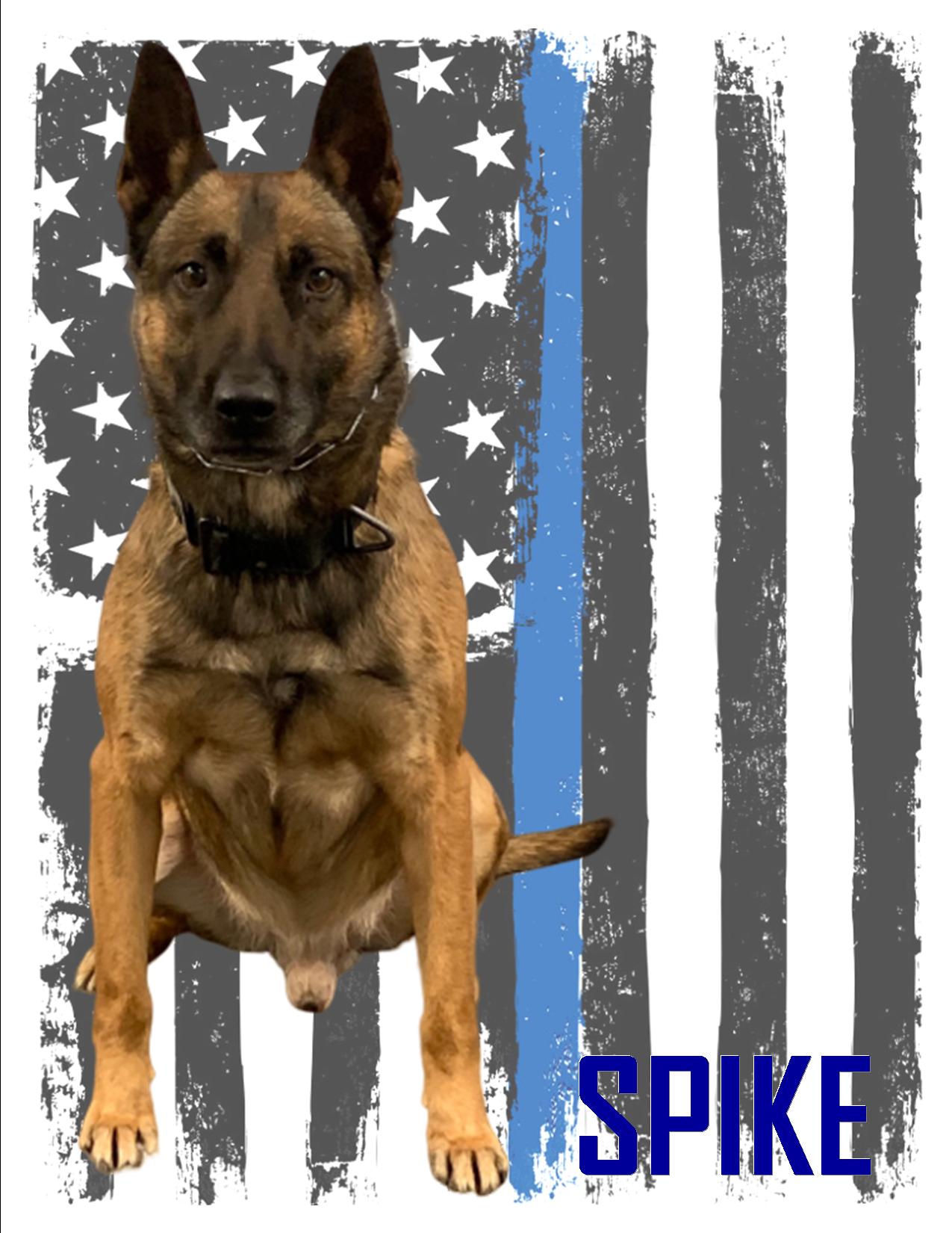 K9 SPIKE