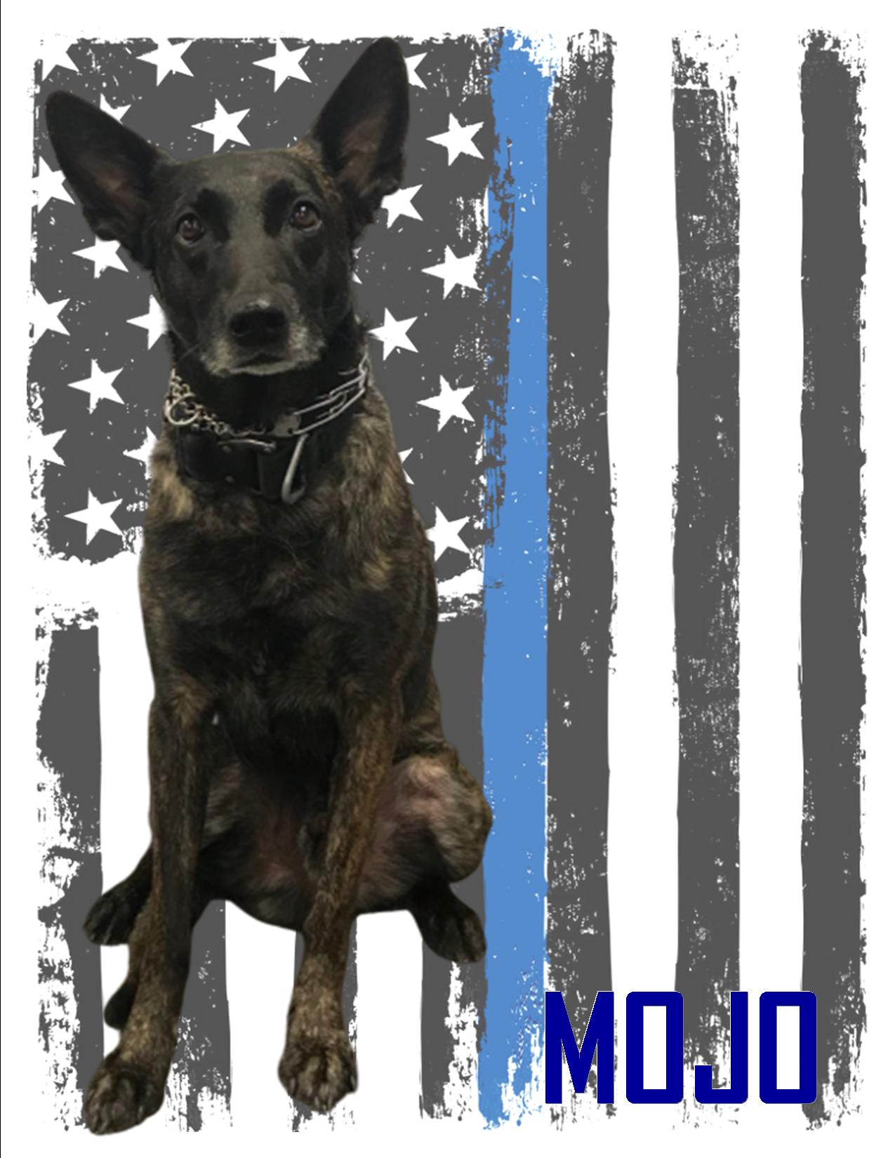 K9 MOJO